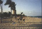 florida 054.jpg